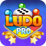 Ludo Pro